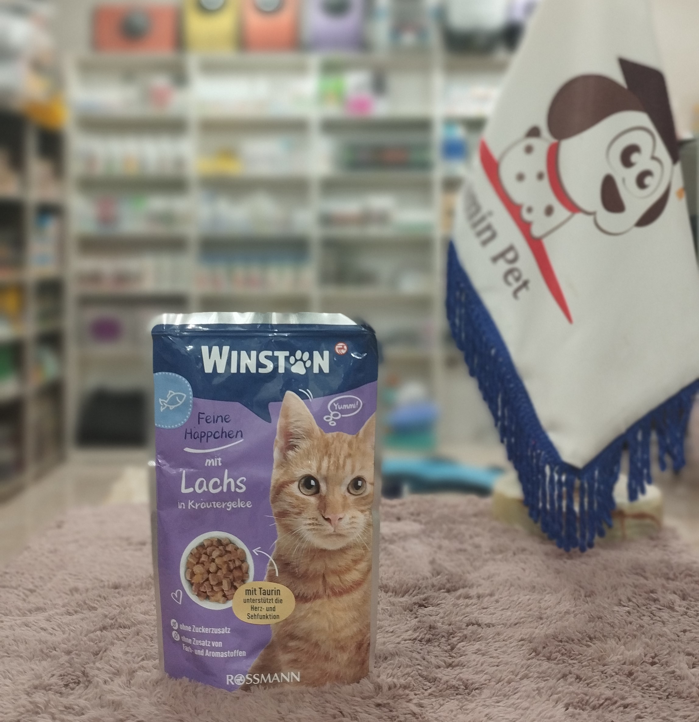 پوچ گربه وینستون با طعم ماهی 100 گرم