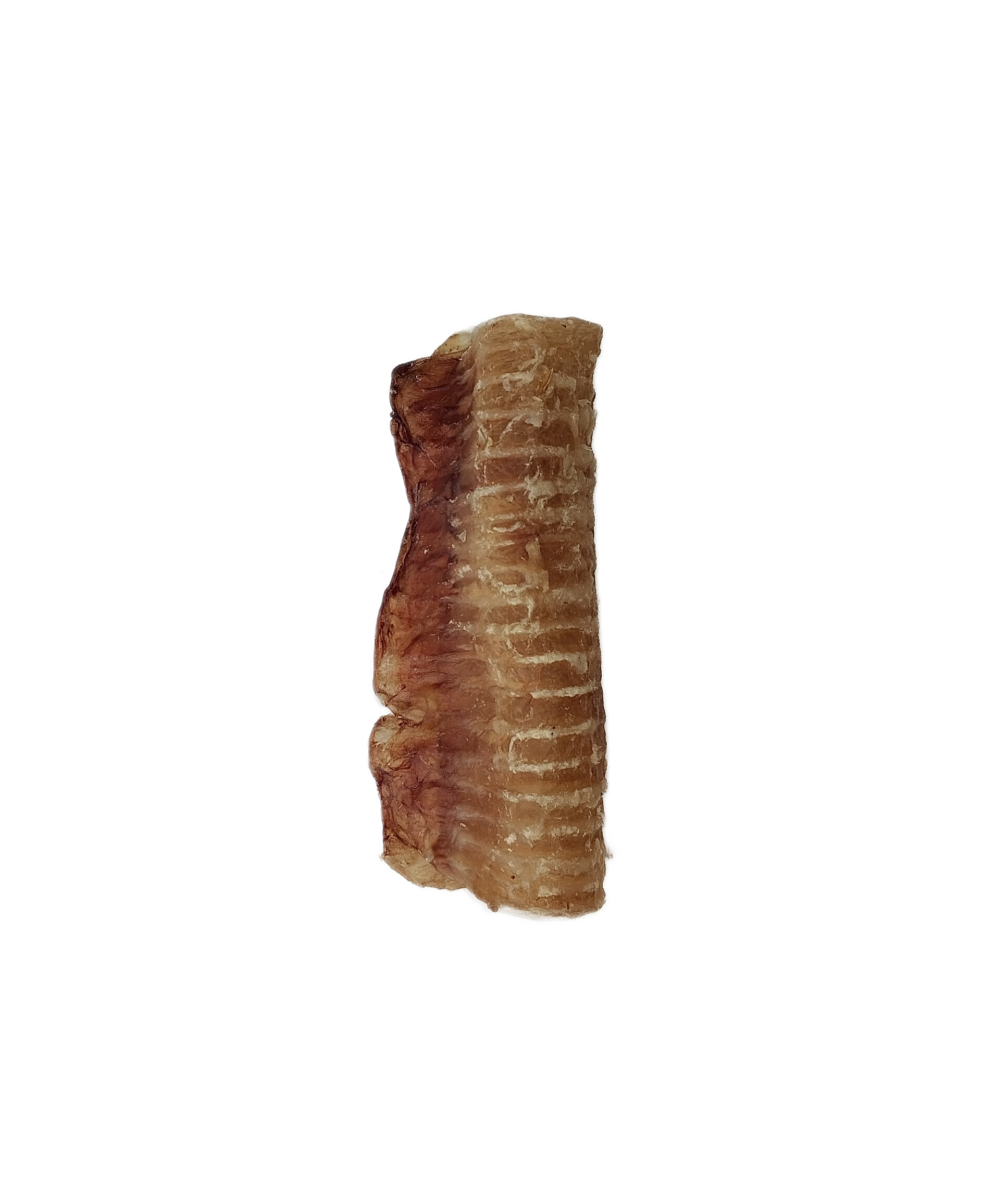نای طبیعی بره ( تکی )
